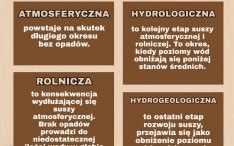 Projekt