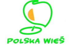 Konkurs