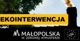 Ekointerwencja